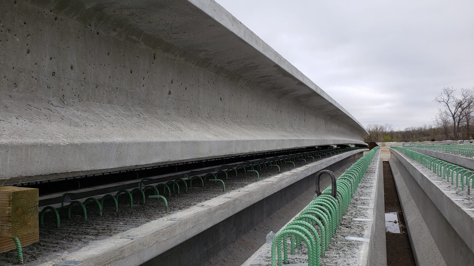 Prestressed concrete beams stored in a fabricator’s yard display a slightly arched shape, or camber.