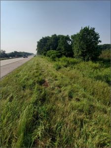 Roadside vegetation including tall grasses and a few trees.