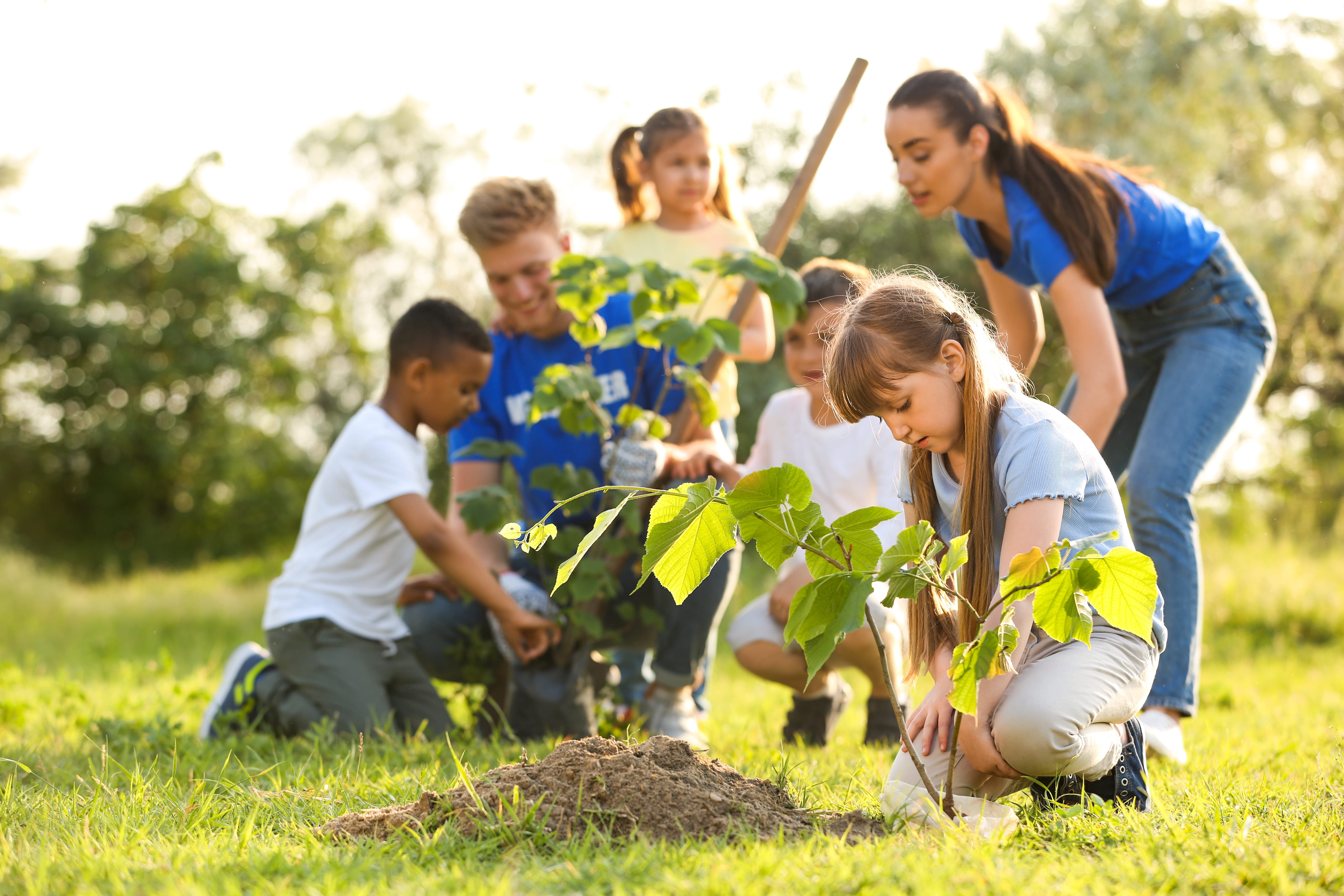 Group of kids planting plants outside in the soil
