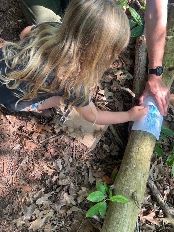 A student using a piece of paper and pencil to retrieve the pattern from a log