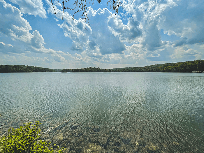 water with shore in distance