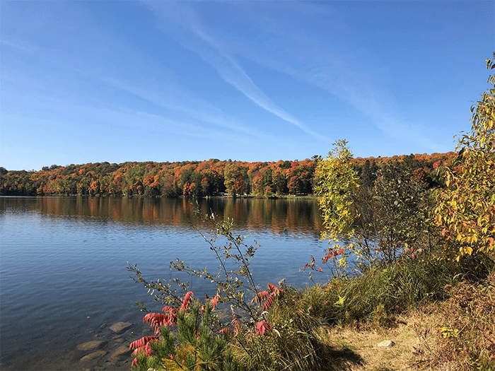 water with fall colored trees along shoreline