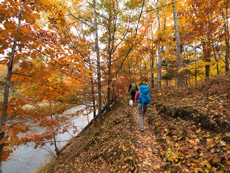 Hikers on a trail with autumnal foliage